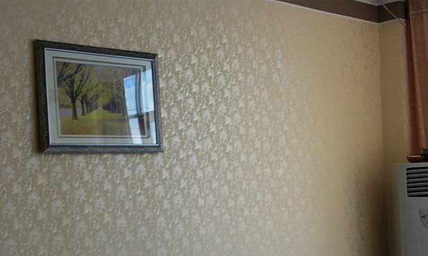 為什么選擇加盟蒙太奇液體壁紙涂料 ？