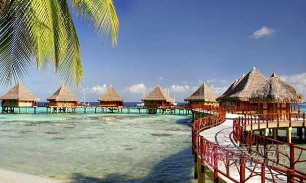 2015年秋季促銷活動(dòng)